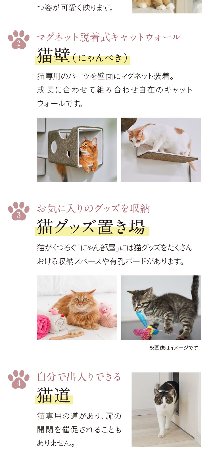 猫と暮らす家