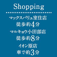 木の葉モール橋本 ニトリ橋本店 自転車約6分